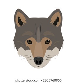 Wolf face or head. Wild grey wolf animal icon isolated on white background. Vector flat or cartoon illustration.