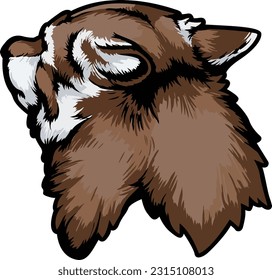 Wolf Face Illustration. Wild. Face. Vector