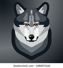 Wolf face on gray gradient background
