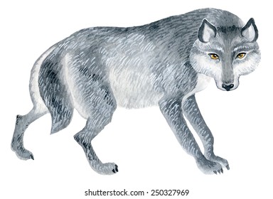 wolf figure - watercolor vector painting 