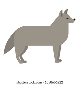 wolf flat illustration on white