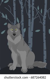 Wolf in forest vector cartoon flat illustration at night