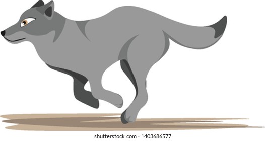 Un lobo de cola gris gradiente y esponjosa corre por encima de la tierra fijada aislado en fondo blanco visto desde el costado, vector, dibujo de color o ilustración.