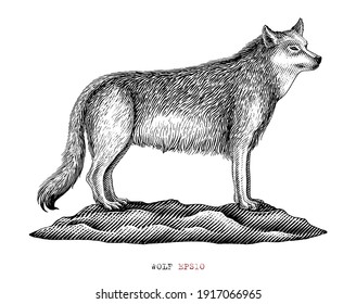 Wolf hand draw vintage engraving style black and white clip art isolated on white background