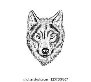 Wolf Hand Drawing Stock Vector (Royalty Free) 1237509667 | Shutterstock