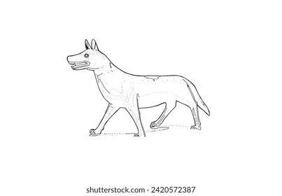 el contorno del lobo y el lobo dibujado a mano y el lobo de línea de arte, el dibujo y el dibujo y el vector animal.

