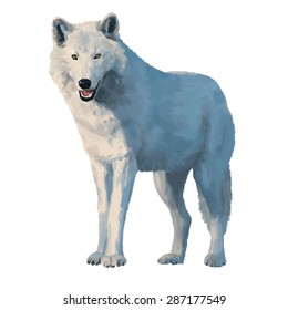 Wolf hand drawn vector colorful illustration 
