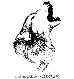 Wolf hand drawn vector illustration. Wild animal