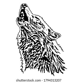 The wolf has raised its head and is howling at the moon. Vector illustration isolated on a white background.