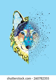 Wolf  head in geometric pattern with star line vector