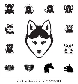 Wolf Head Icon. Set of animal icons. You can use in web or app icons on white background
