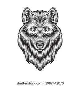 wolf head line art drawing vector, wolf head drawn in a sketch style, black line wolf head trainers template outline, vector Illustration.