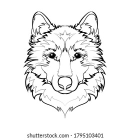 Wolf Head Line Drawing Vector Illustration Stock Vector (Royalty Free ...