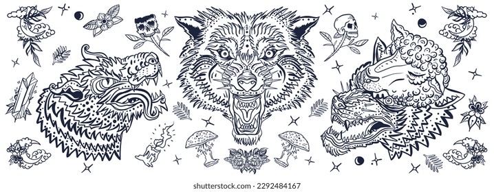 Wolf head. Old school tattoo vintage collection. Halloween style. Werewolf in sheep clothing. Aggressive wolves traditional tattooing style