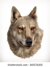 Wolf head, realistic vector illustration
