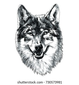 wolf head sketch vector graphics monochrome black-and-white drawing