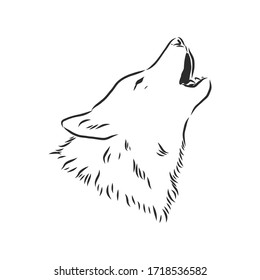 Wolf head vector. wolf howls, vector sketch illustration