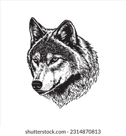 Ilustración vectorial de la cabeza del lobo, engrave aislado