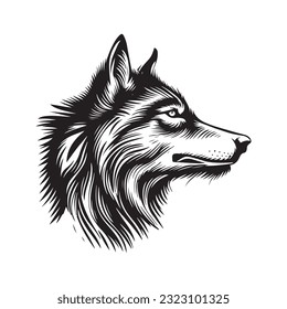 Wolf head vector illustration on a white background. Vintage tiger illustration