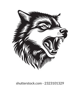 Wolf head vector illustration on a white background. Vintage tiger illustration