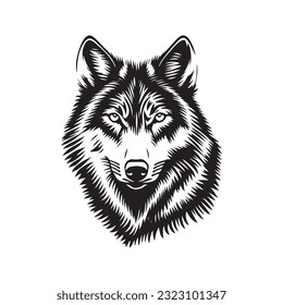 Wolf head vector illustration on a white background. Vintage tiger illustration