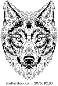 Wolf head vector illustration.Isolated on white background.Stylization.