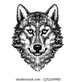 Wolf head vector logo (26)