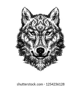 Wolf head vector logo (27)