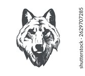 Wolf head. Vintage engraving isolated gray wolf illustration ink sketch. Black and white hand drawn vector image. Vector illustration