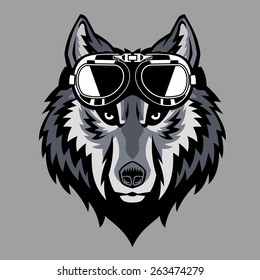 wolf head wearing a goggle