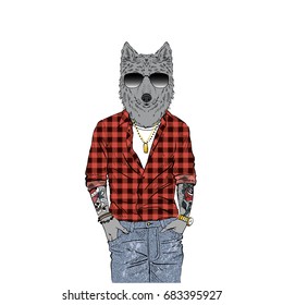 wolf hipster, furry art illustration, fashion animals