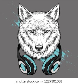 Wolf hipster in the headphones. Pretty dog. Vector illustration for postcard, print on clothes. Fashion & Style.
