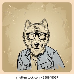 wolf hipster in a jacket on a vintage background