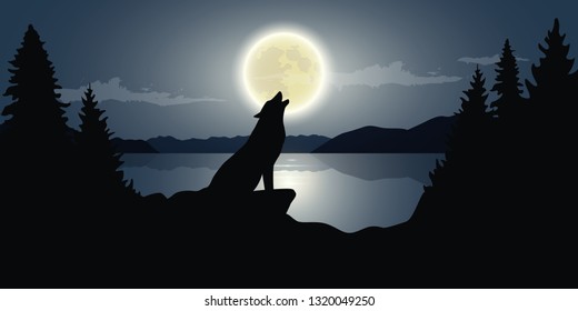 wolf is howling to the full moon by the lake dark night wildlife nature landscape vector illustration EPS10