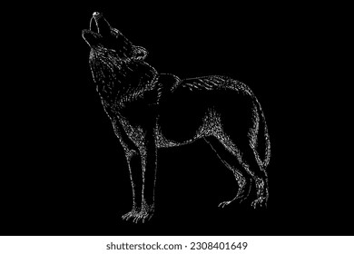 wolf howling hand drawing vector isolated on black background.