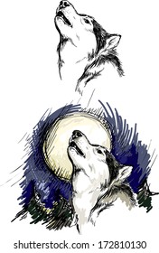 Wolf Howling At The Moon