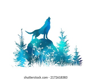 El lobo aullaba en el bosque azul sobre una piedra. Ilustración del vector