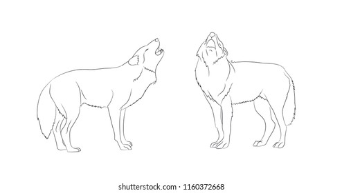 wolf howls, image lines, vector, white background