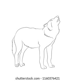 wolf howls, image lines, vector, white background