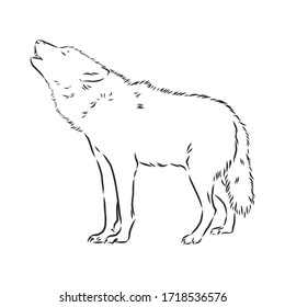  wolf howls vector sketch illustration