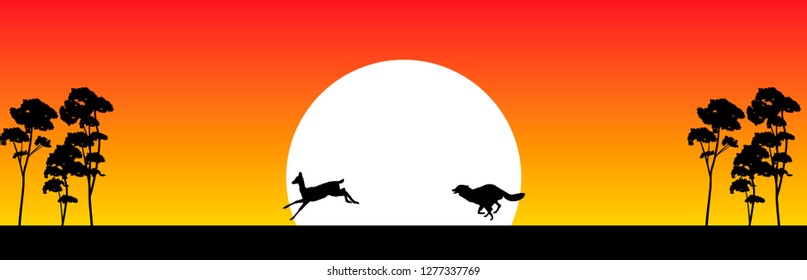 wolf hunt deer at the sunset vector illustration
