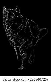 Wolf jagen handgezeichnete Vektorgrafik einzeln auf schwarzem Hintergrund.