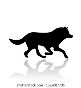 Wolf icon vector design. Northern dog