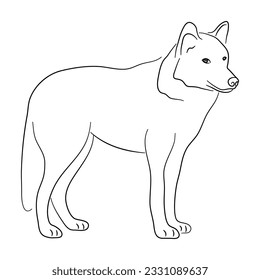 Ilustración de lobo al estilo doodle. Vector aislado en un fondo blanco. 