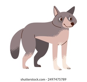 Wolf isolated on white background. Forest wild animal. Flat vector illustration.