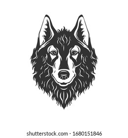 Wolf isolated on white. Vector illustration.