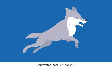 wolf in a jump on a blue background