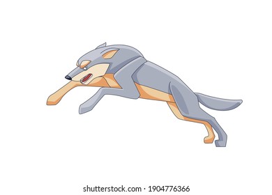 Wolf jumping during the hunting. (Canis lupus) a cartoon character of a dangerous mammalian animal. A wild forest creature with light fur. Vector flat illustration isolated on a white background.