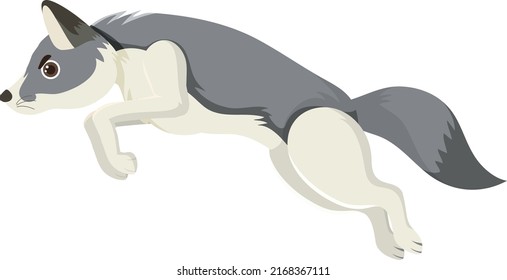 A Wolf Jumping Isolated Illustration