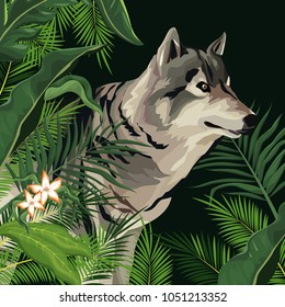 Wolf in the jungle